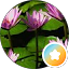 Kate S. Avatar